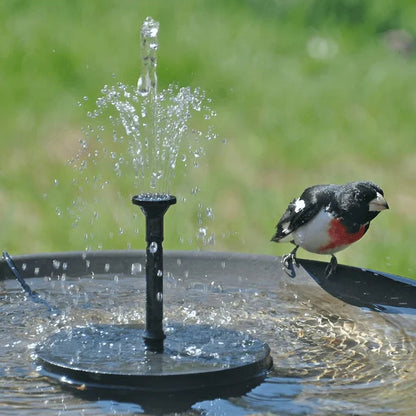 ⏳Time-Limited Special⏰Compact Solar Bird Fountain Pump – Keep Your Garden Alive! 🐦️